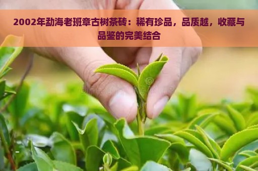 2002年勐海老班章古树茶砖：稀有珍品，品质越，收藏与品鉴的完美结合