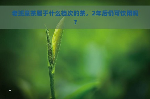 老班章茶属于什么档次的茶，2年后仍可饮用吗？