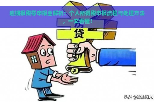 逾期报税零申报全解析：个人所得税申报流程与处理方法，一文看懂！