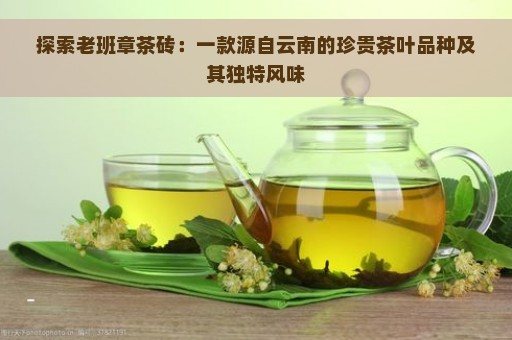 探索老班章茶砖：一款源自云南的珍贵茶叶品种及其独特风味