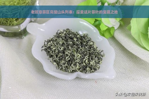 老班章茶区完整山头列表：探索这片茶叶的宝藏之地