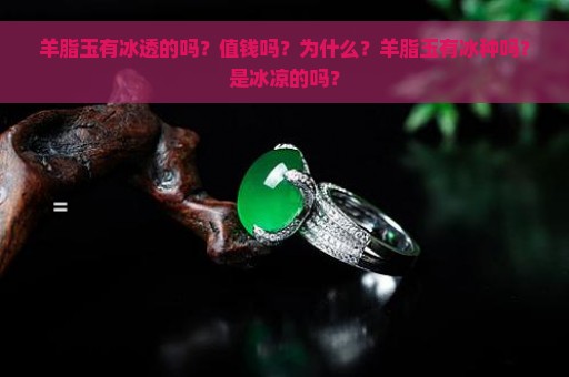 羊脂玉有冰透的吗？值钱吗？为什么？羊脂玉有冰种吗？是冰凉的吗？