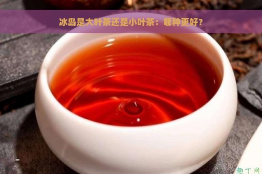 冰岛是大叶茶还是小叶茶：哪种更好？