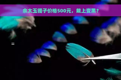 佘太玉镯子价格500元，戴上变黑？