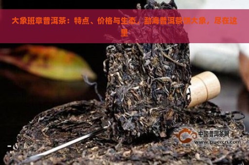 大象班章普洱茶：特点、价格与生态，勐海普洱茶饼大象，尽在这里