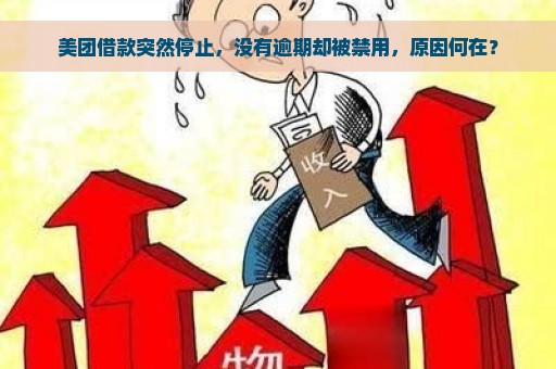 美团借款突然停止，没有逾期却被禁用，原因何在？