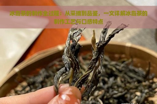 冰岛茶的制作全过程：从采摘到品鉴，一文详解冰岛茶的制作工艺与口感特点