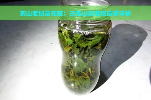 茶山老班章在哪：古茶山及老班章茶详情