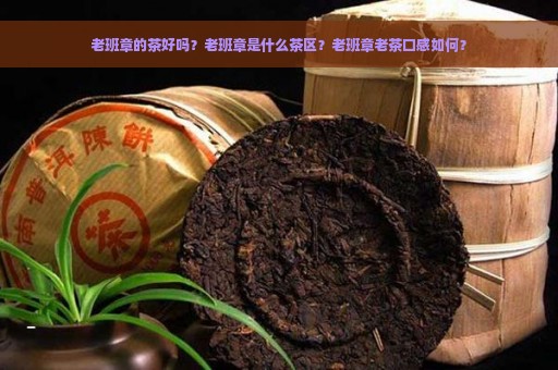 老班章的茶好吗？老班章是什么茶区？老班章老茶口感如何？