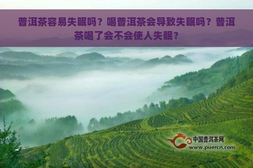 普洱茶容易失眠吗？喝普洱茶会导致失眠吗？普洱茶喝了会不会使人失眠？