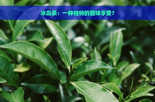 冰岛茶：一种独特的甜味享受？