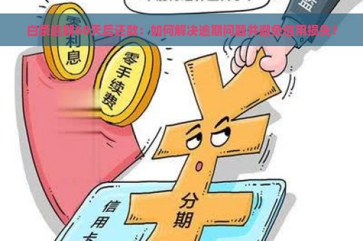 白条逾期60天后还款：如何解决逾期问题并避免信用损失？