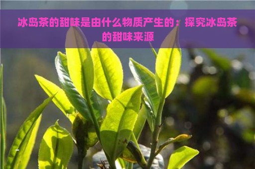 冰岛茶的甜味是由什么物质产生的：探究冰岛茶的甜味来源