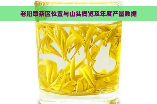 老班章茶区位置与山头概览及年度产量数据