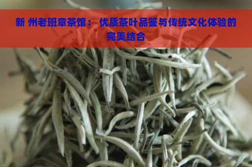 新 州老班章茶馆： 优质茶叶品鉴与传统文化体验的完美结合