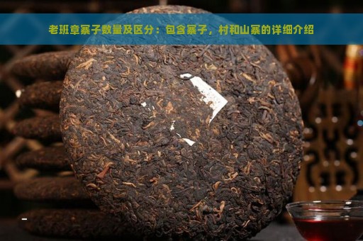 老班章寨子数量及区分：包含寨子，村和山寨的详细介绍