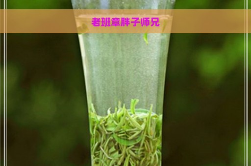 老班章胖子师兄