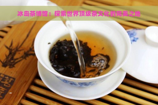 冰岛茶博馆：探索世界顶级茶文化的完美之地