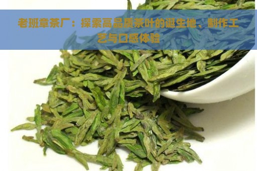 老班章茶厂：探索高品质茶叶的诞生地、制作工艺与口感体验