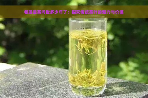 老班章茶问世多少年了：探究传统茶叶的魅力与价值