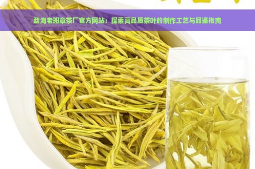 勐海老班章茶厂官方网站：探索高品质茶叶的制作工艺与品鉴指南