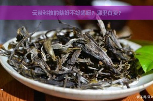 云茶科技的茶好不好喝呀？哪里有卖？