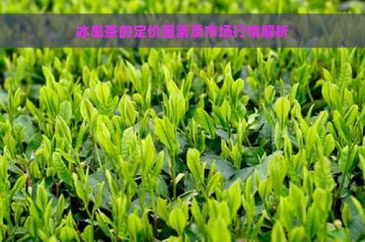 冰岛茶的定价因素及市场行情解析