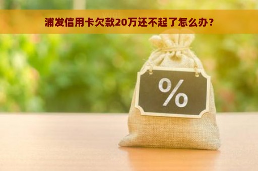 浦发信用卡欠款20万还不起了怎么办？