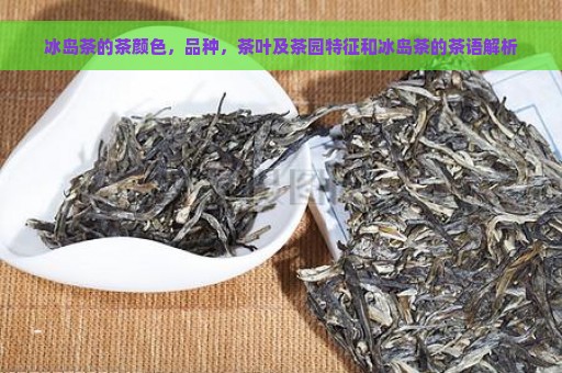 冰岛茶的茶颜色，品种，茶叶及茶园特征和冰岛茶的茶语解析