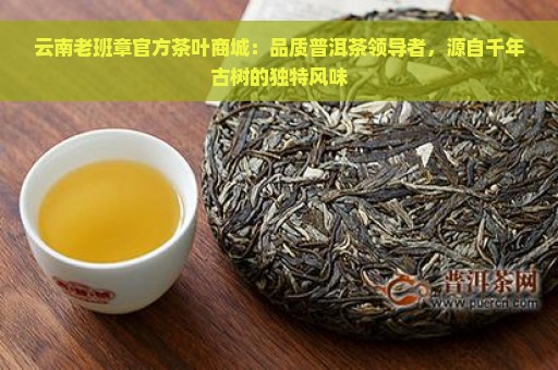 云南老班章官方茶叶商城：品质普洱茶领导者，源自千年古树的独特风味