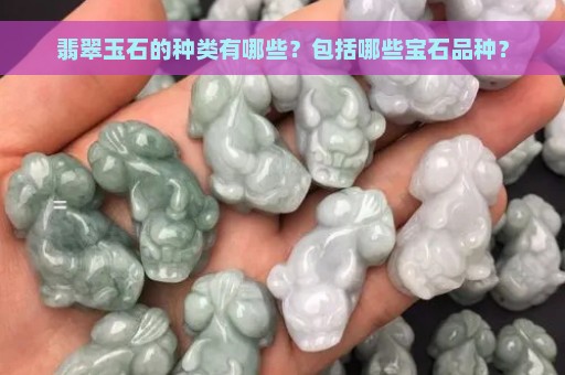 翡翠玉石的种类有哪些？包括哪些宝石品种？