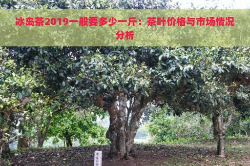 冰岛茶2019一般要多少一斤：茶叶价格与市场情况分析