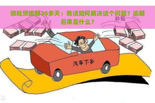 微粒贷逾期20多天：我该如何解决这个问题？逾期后果是什么？