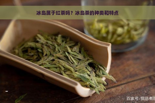 冰岛属于红茶吗？冰岛茶的种类和特点