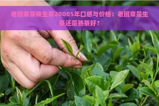 老班章茶砖生茶20005年口感与价格：老班章是生茶还是熟茶好？