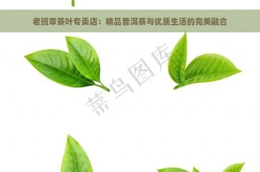 老班章茶叶专卖店：精品普洱茶与优质生活的完美融合