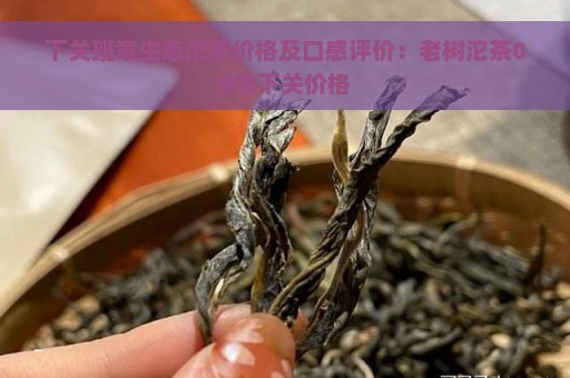 下关班章生态沱茶价格及口感评价：老树沱茶09年下关价格