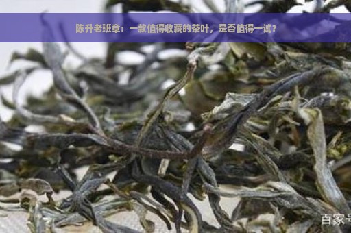 陈升老班章：一款值得收藏的茶叶，是否值得一试？