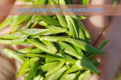 冰岛高品质茶叶厂推荐：对比分析与选购指南