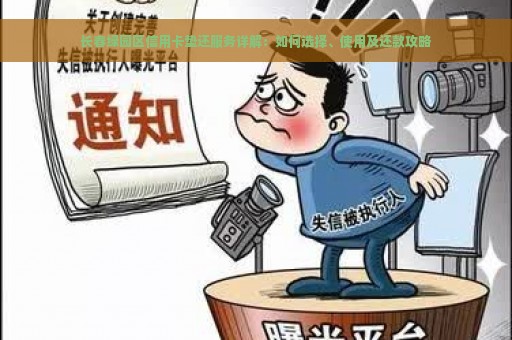 长春绿园区信用卡垫还服务详解：如何选择、使用及还款攻略