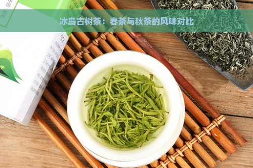 冰岛古树茶：春茶与秋茶的风味对比