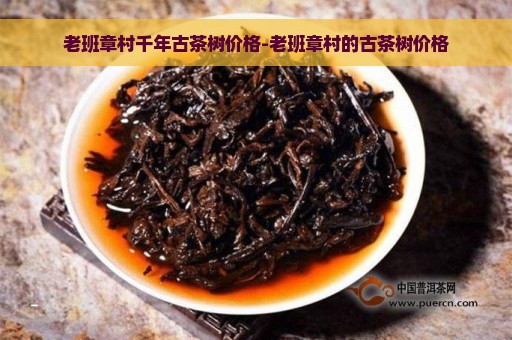 老班章村千年古茶树价格-老班章村的古茶树价格