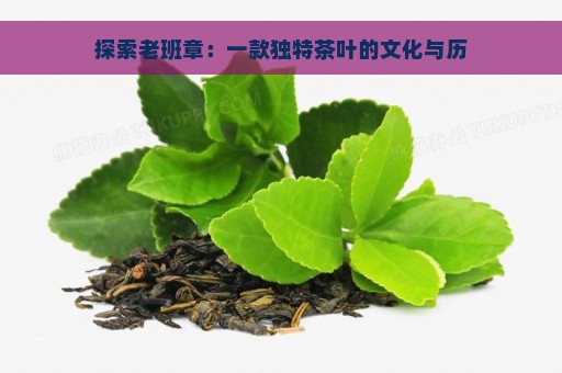 探索老班章：一款独特茶叶的文化与历