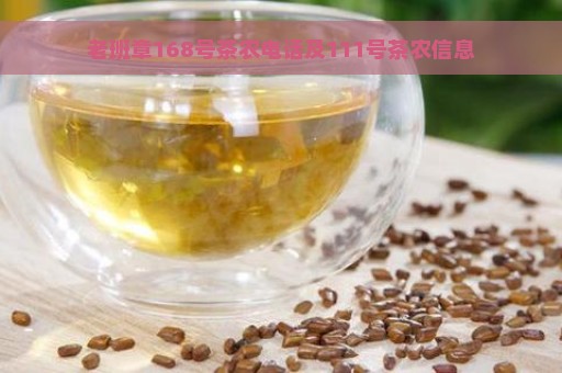 老班章168号茶农电话及111号茶农信息