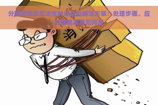 分期易贷款无法按时还款的解决方案：处理步骤、应对策略及常见问答