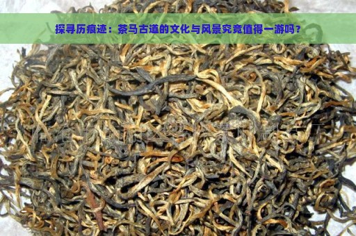 探寻历痕迹：茶马古道的文化与风景究竟值得一游吗？