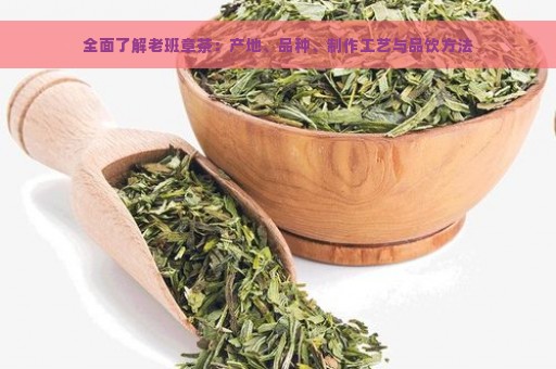 全面了解老班章茶：产地、品种、制作工艺与品饮方法