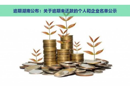 逾期湖南公布：关于逾期未还款的个人和企业名单公示