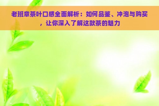 老班章茶叶口感全面解析：如何品鉴、冲泡与购买，让你深入了解这款茶的魅力