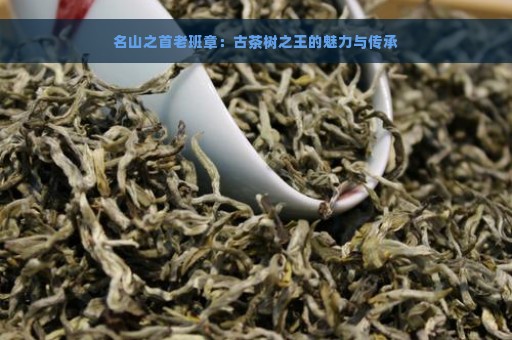 名山之首老班章：古茶树之王的魅力与传承